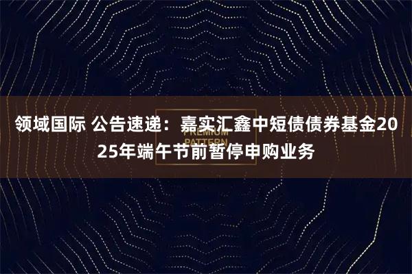 领域国际 公告速递:嘉实汇鑫中短债债券基金2025年端午节前暂停申购业务