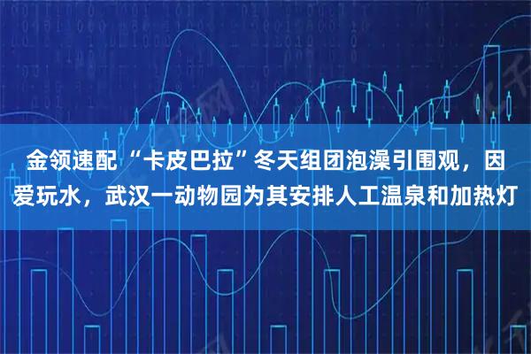 金领速配 “卡皮巴拉”冬天组团泡澡引围观，因爱玩水，武汉一动物园为其安排人工温泉和加热灯