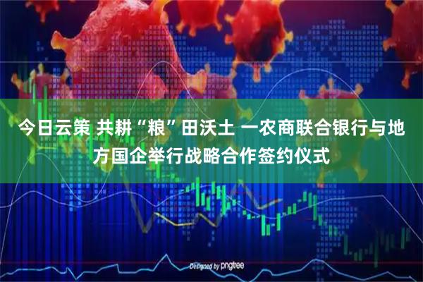 今日云策 共耕“粮”田沃土 一农商联合银行与地方国企举行战略合作签约仪式